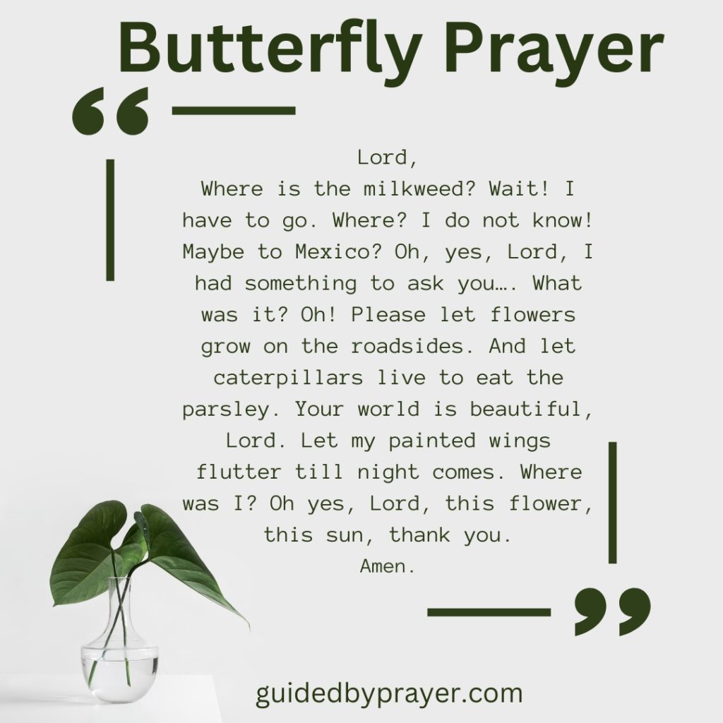 Butterfly Prayer