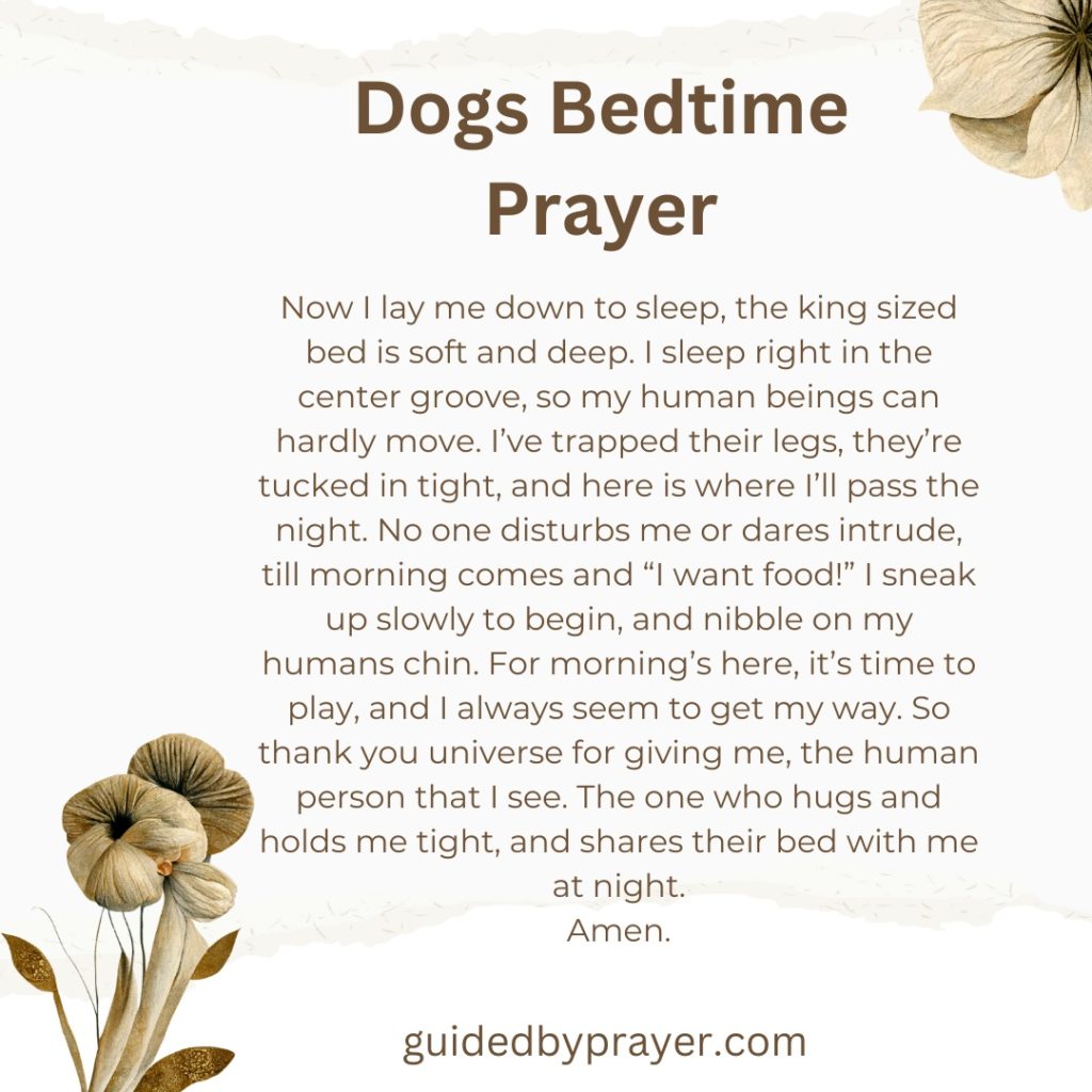 Dogs Bedtime Prayer