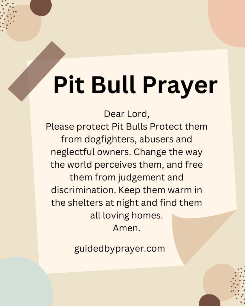 Pit Bull Prayer