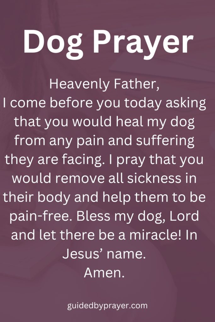 Dog Prayer